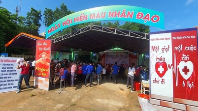 Hiệp Đức tiếp nhận 300 đơn vị máu | BÁO QUẢNG NAM ONLINE
