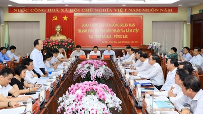 ក្រុមប្រឹក្សាប្រជាជនទីក្រុងហាណូយ និងខេត្ត Ba Ria-Vung Tau បន្តកិច្ចសហប្រតិបត្តិការ និងលើកកម្ពស់ការផ្លាស់ប្តូរ