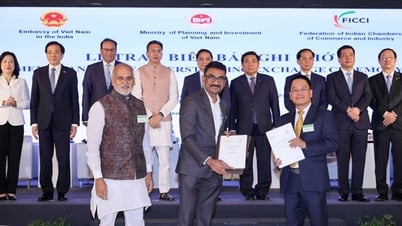 ក្រុមហ៊ុន T&T Group និងដៃគូឥណ្ឌាសហការគ្នាដើម្បីអភិវឌ្ឍសួនឱសថ