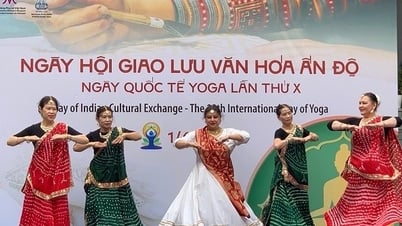 ពណ៌វប្បធម៌ឥណ្ឌាសម្បូរបែបនៅទីក្រុងហាណូយ