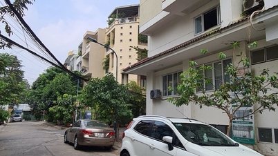 រថយន្តជាច្រើនគ្រឿងរបស់ប្រជាពលរដ្ឋនៅទីក្រុងហូជីមិញ កំពុងរងការខូចខាតជាបន្តបន្ទាប់ពីសំណាក់ចោរ។