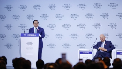 Toàn văn bài phát biểu của Thủ tướng Phạm Minh Chính tại WEF Đại Liên 2024