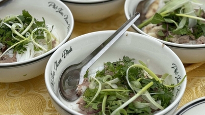 'ចំណេះដឹងប្រជាជន Pho Nam Dinh' ត្រូវបានទទួលស្គាល់ជាបេតិកភណ្ឌវប្បធម៌អរូបីជាតិ