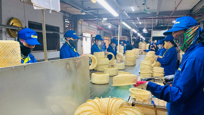 Yêu cầu báo cáo tình hình trả lương, thưởng dịp Tết trước ngày 6/1/2025