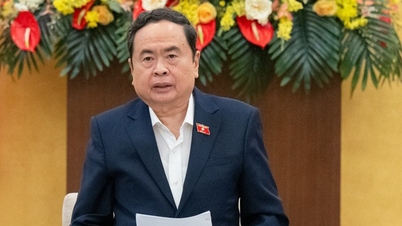 នៅខែកុម្ភៈឆ្នាំ 2025 រដ្ឋសភានឹងបើកកិច្ចប្រជុំវិសាមញ្ញមួយដើម្បីវិសោធនកម្មច្បាប់មួយចំនួនដើម្បីសម្រួលដល់ឧបករណ៍។