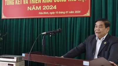 Hội Luật gia tỉnh Hòa Bình triển khai công tác Hội năm 2024