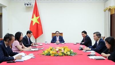 Thúc đẩy chuyến thăm cấp Nhà nước tới Việt Nam của Nhà Vua và Hoàng hậu Hà Lan
