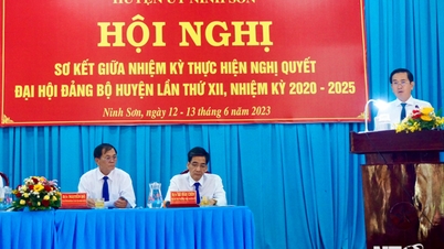 Ninh Son ពាក់កណ្តាលអាណត្តិ ពិនិត្យការអនុវត្តសេចក្តីសម្រេចចិត្តនៃមហាសន្និបាតបក្សស្រុកលើកទី១២