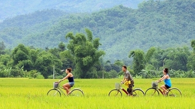 Nông dân vẫn chân lấm tay bùn, còn 'mỏ vàng' chưa khai thác