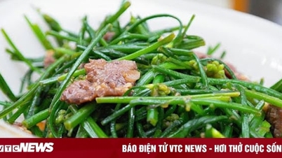 The effects of chives on the body