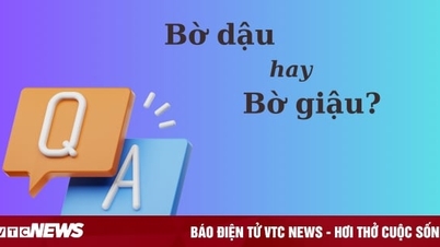 Thử thách Tiếng Việt: 'Bờ dậu' hay 'bờ giậu'?