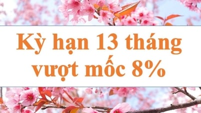 Kỳ hạn 13 tháng vượt mốc 8%