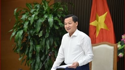 Cần chính sách phù hợp để thu hút nhân lực y tế cơ sở