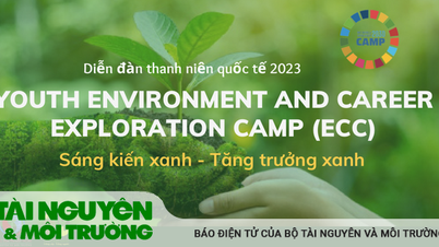 Hội nghị Thanh thiếu niên Môi trường 2023 sẽ diễn ra tại Quy Nhơn