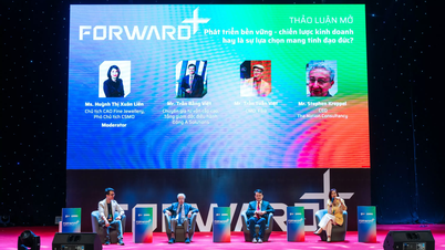 VSMCamp and CSMOSummit 2024: Leading the trend of sustainable development