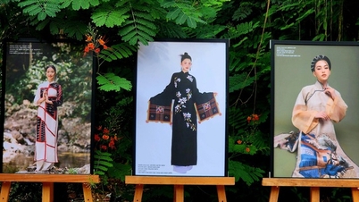 Ao Dai សហសម័យ - តំបន់បីបញ្ចូលគ្នា