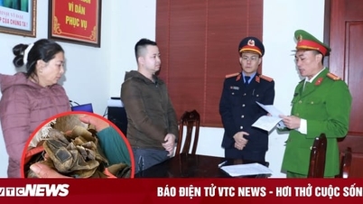 Bắt con rể và mẹ vợ mua bán vảy tê tê trị giá hơn 14 tỷ đồng