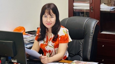 ITTC Hoà Bình: Đổi mới, nâng cao hiệu quả xúc tiến đầu tư, thương mại và du lịch