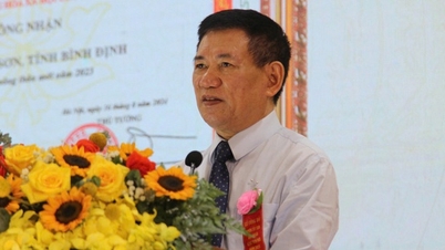 Tay Son មានលក្ខណៈសម្បត្តិគ្រប់គ្រាន់ក្នុងការអភិវឌ្ឍន៍ឧស្សាហកម្មបច្ចេកវិទ្យាខ្ពស់ ដោយសារវានៅជិតព្រលានយន្តហោះ។