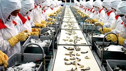 Không công bố thông tin, Đầu tư Thương mại Thuỷ sản bị phạt 85 triệu