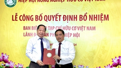អ្នកកាសែត Do Ngoc Thi ត្រូវបានតែងតាំងជានិពន្ធនាយករងនៃទស្សនាវដ្តីសរីរាង្គវៀតណាម។