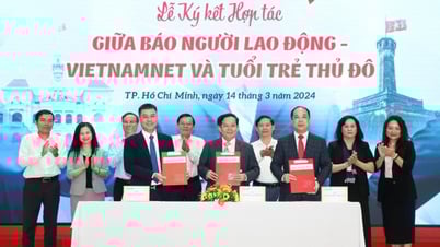 កាសែត Nguoi Lao Dong កាសែត VietNamNet កាសែត Tuoi Tre Thu Do សហការគ្នាដើម្បីជំរុញសកម្មភាពផ្លាស់ប្តូរឌីជីថល