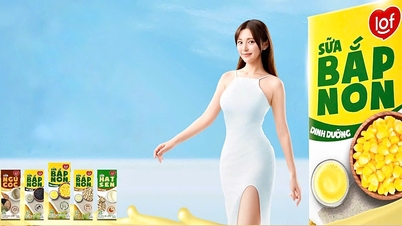 LOF young corn milk conquers the market with healthy nutritional formula