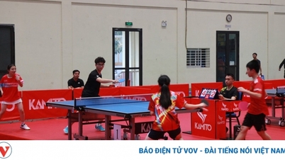 402 vận động viên thi đấu môn bóng bàn tại Hội khỏe Phù Đổng thành phố Hà Nội