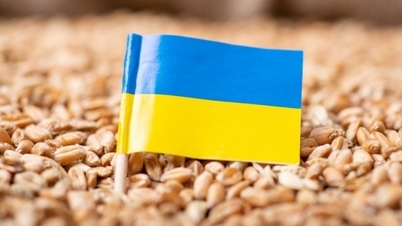 Black Sea Grain Initiative 'Shelved', Ukrainian Agricultural Products Overflowing Warehouses, President Zelensky Seeks to 'Open a Bloody Path'