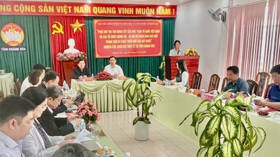Khanh Hoa លើកកំពស់តួនាទីស្នូលរបស់រណសិរ្ស និងអង្គការនយោបាយ និងសង្គម