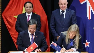 Mở rộng cơ hội tiếp cận giáo dục New Zealand ngay tại Việt Nam