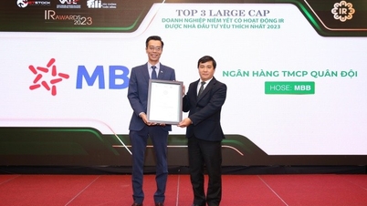 MB tiếp tục vào Top 3 doanh nghiệp được nhà đầu tư yêu thích nhất