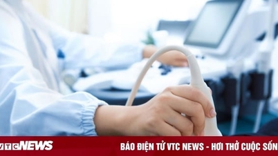 Mải theo đuổi sự nghiệp, nữ tiến sĩ 42 tuổi muốn sinh con nhưng 'cạn kiệt trứng'