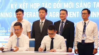 Quỹ đầu tư quốc tế 'đổ bộ' Đà Nẵng, cơ hội gọi vốn hàng chục tỷ đồng cho startup