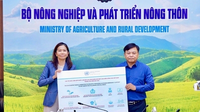 15 triệu USD, 200 tấn hàng hoá hỗ trợ Việt Nam khắc phục bão số 3
