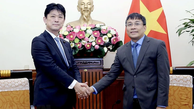 Concretizing the framework of the Vietnam-Japan Comprehensive Strategic Partnership