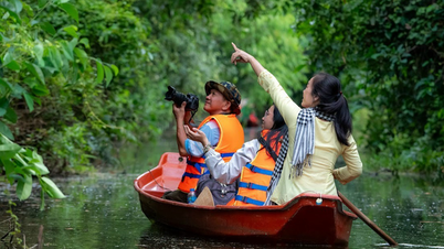កំរាលព្រំពណ៌បៃតងដ៏ស្រស់ស្អាតគួរឱ្យភ្ញាក់ផ្អើលនៅឧទ្យានអេកូឡូស៊ី Dong Thap Muoi
