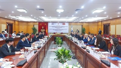 Việt Nam - Israel: Khoa học và công nghệ là ưu tiên trọng tâm trong hợp tác song phương