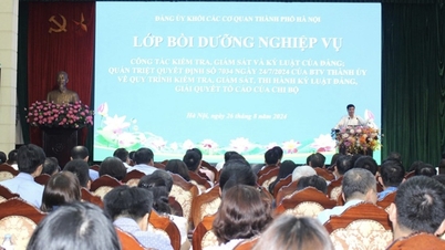 គណៈកម្មាធិការបក្សទីក្រុងហាណូយលើកកម្ពស់ជំនាញវិជ្ជាជីវៈក្នុងការងារអធិការកិច្ច និងត្រួតពិនិត្យ