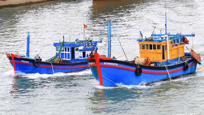 Tiếp tục triển khai quyết liệt, đồng bộ, hiệu quả các giải pháp chống khai thác hải sản bất hợp pháp
