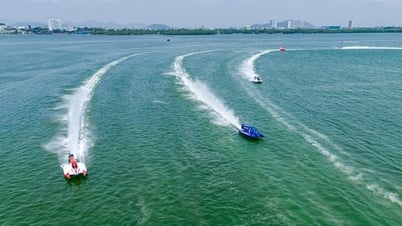 Ngỡ ngàng vẻ đẹp vịnh Thị Nại