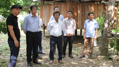 Lãnh đạo UBND tỉnh kiểm tra mô hình du lịch cộng đồng tại xã Phước Bình