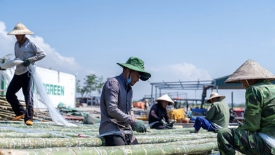 អ្នកនេសាទ Quang Yen ប្រញាប់ប្រញាល់សាងសង់ក្បូនថ្មី ដើម្បីត្រលប់មកវារីវប្បកម្មវិញបន្ទាប់ពីព្យុះ