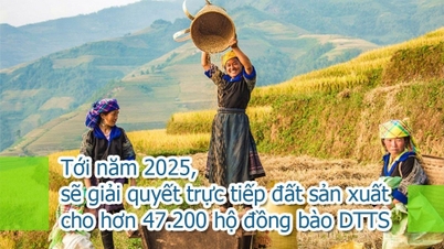 Tới năm 2025 sẽ giải quyết trực tiếp đất sản xuất cho hơn 47.200 hộ đồng bào dân tộc thiểu số