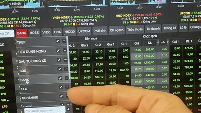 Vingroup отделяет Vinfast и создает новую компанию