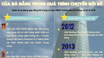 Infographic - ស៊េរីនៃពានរង្វាន់ឆ្នើមរបស់ Da Nang ក្នុងដំណើរការផ្លាស់ប្តូរឌីជីថល