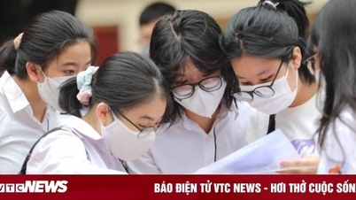 More universities recruit additional students, highest quota is nearly 2,000