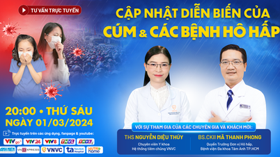 ជំងឺគ្រុនផ្តាសាយ និងជំងឺផ្លូវដង្ហើមកើនឡើងបន្ទាប់ពីតេត ត្រូវធ្វើដូចម្តេច?