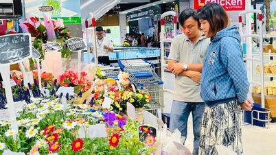 Saigon Co.op tổ chức tuần lễ trái cây tri ân ngày nhà giáo Việt Nam