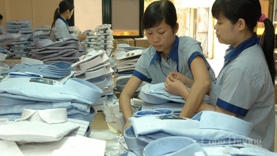 Thị trường xuất khẩu dệt may đang ấm dần